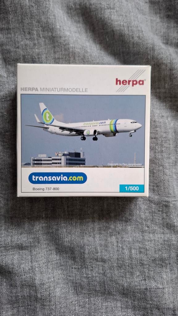 Herpa 1:500 Transavia B737, Ophalen of Verzenden, 1:200 of kleiner, Overige merken
