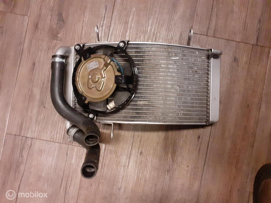 Radiateur origineel ventilator radiator 748 916, Gebruikt, Factorystore.service@ducati.com, Ophalen of Verzenden, Via Antonio Cavalieri Ducati, 74/5, 74/6, 40132 Bologna BO