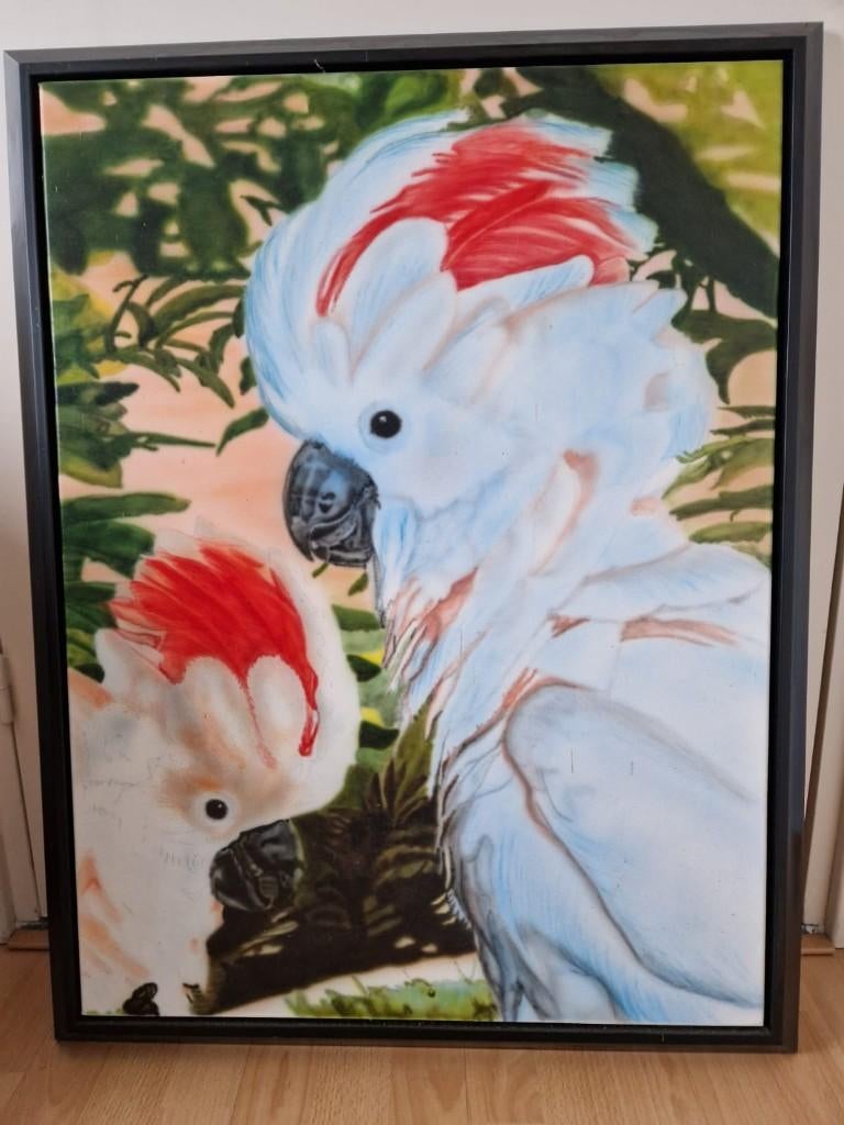 Handgemaakt schilderij (air brush) koppel Molukken kaketoes, Meerdere dieren, Papegaai