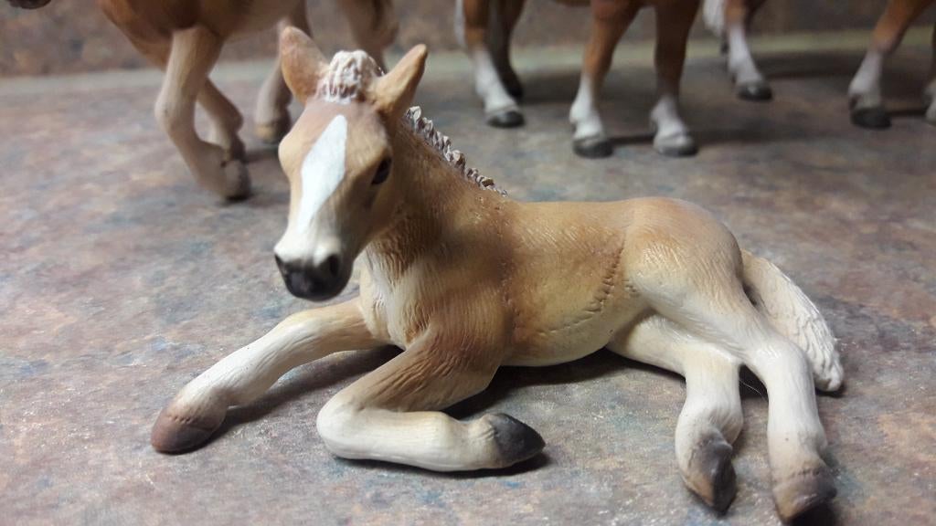5 x  schleich  haflinger paarden, Verzamelen, Ophalen of Verzenden, Nieuw