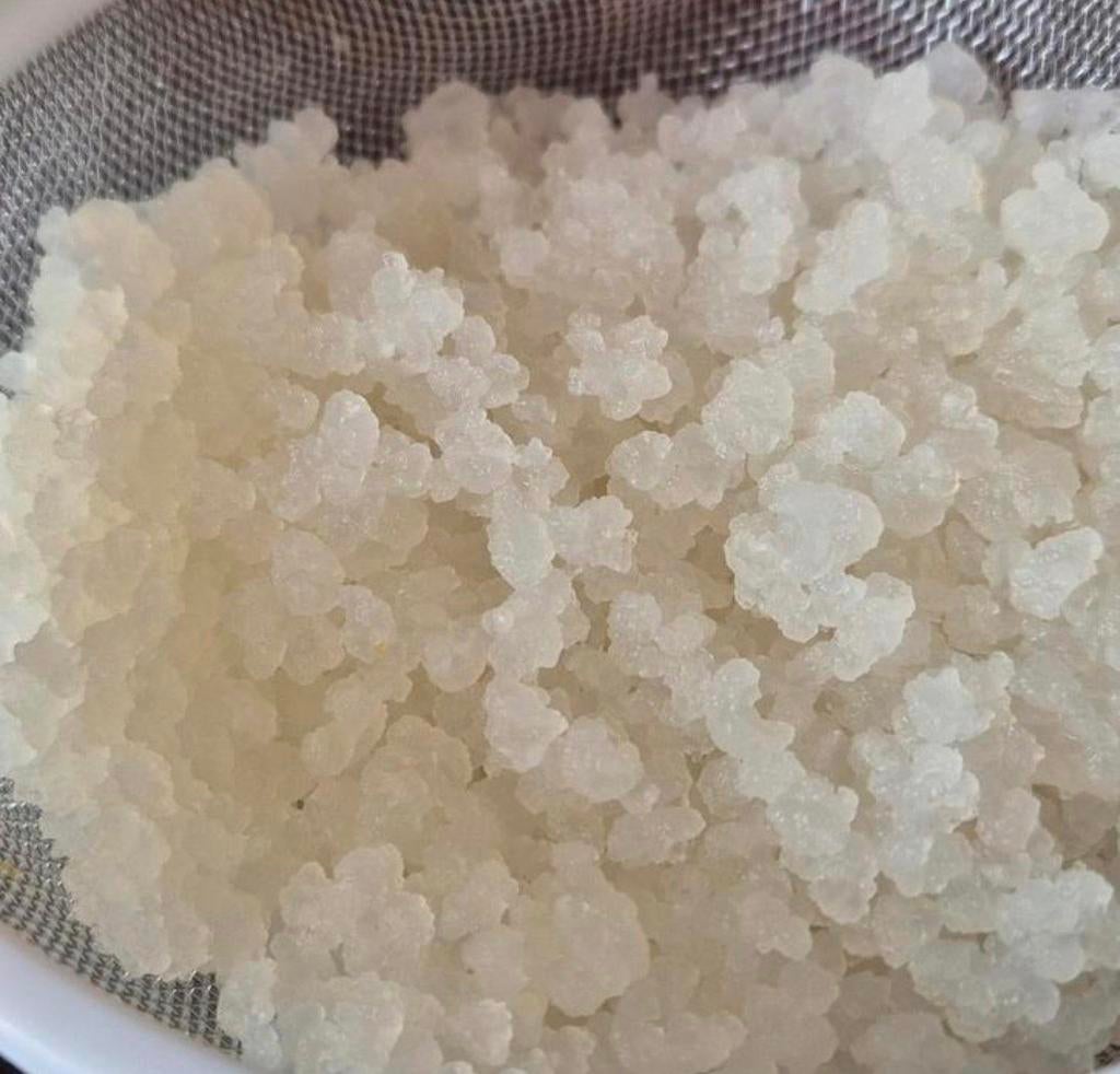 Waterkefir korrels, Ophalen