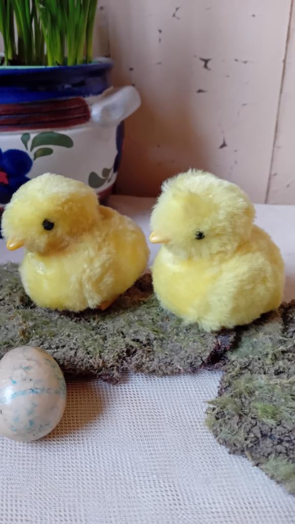 Twee kuikentjes, Verzenden
