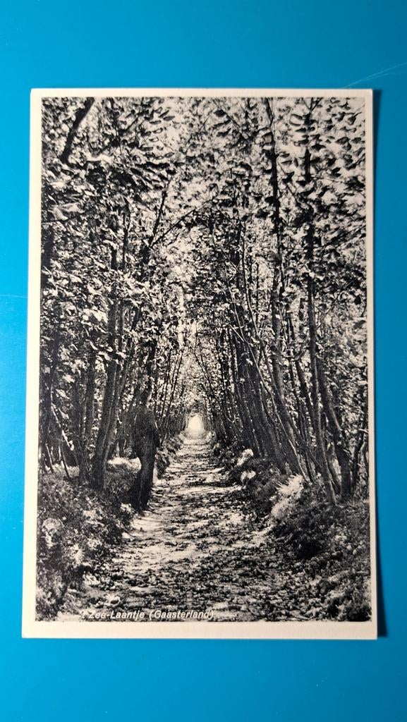 Gaasterland Rijs? 't Zee Laantje, Ophalen of Verzenden, 1940 tot 1960, Ongelopen, Friesland