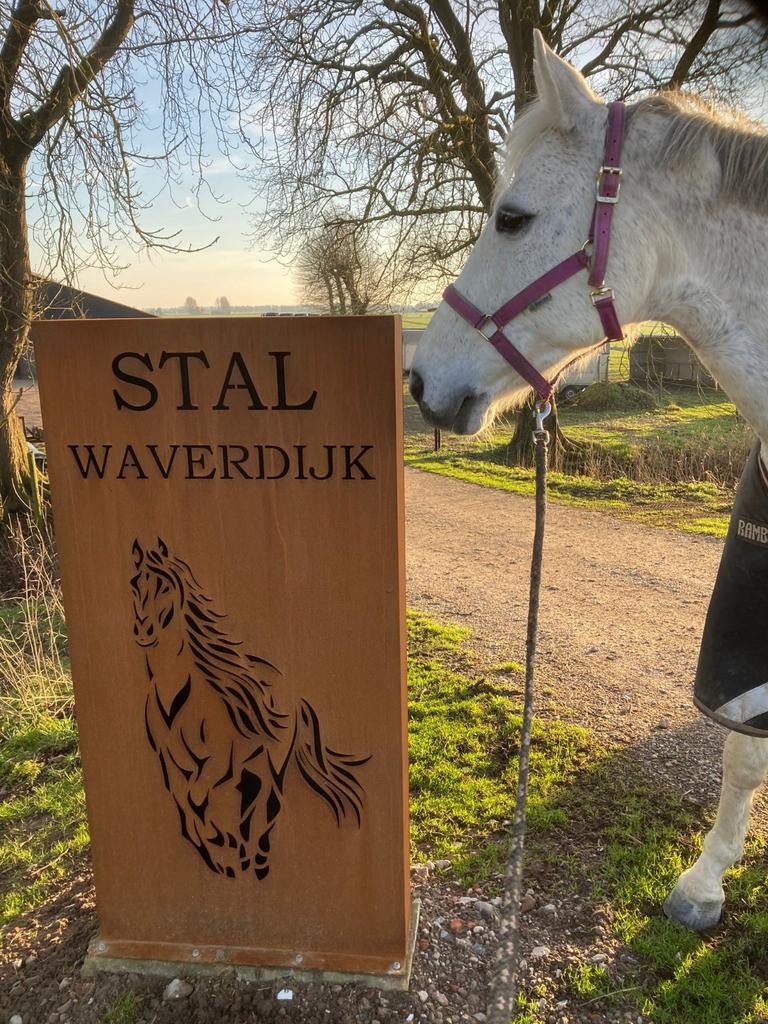 Stalling en weidegang, Weidegang, 4 paarden of pony's of meer
