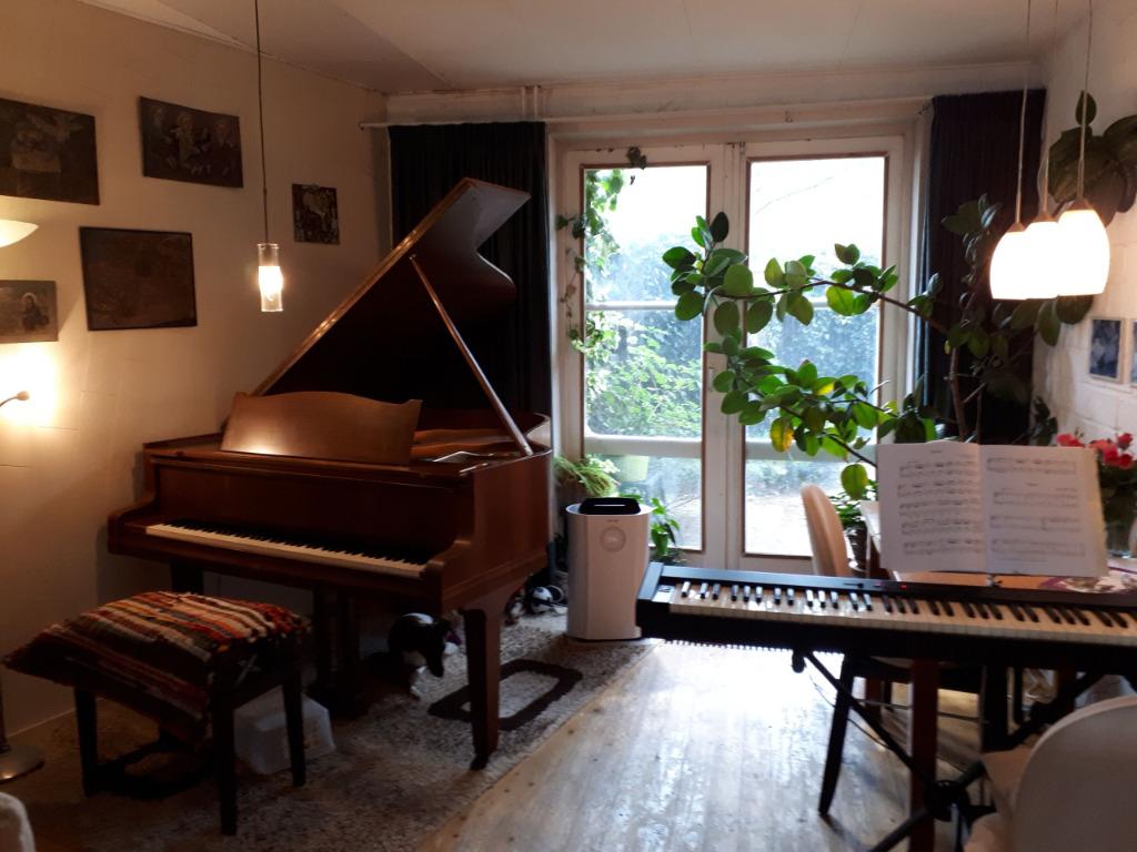 Pianolessen in Tilburg, Privéles, Toetsinstrumenten