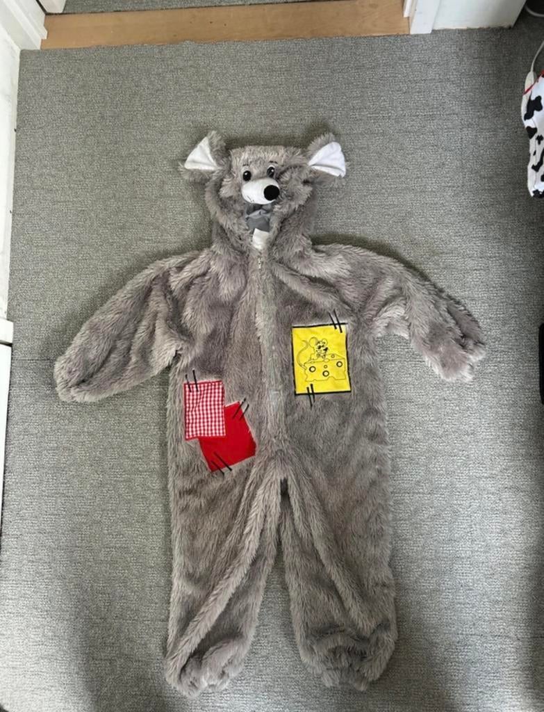 Muizen onesie maat 104 - Carnaval Nieuw!, Ophalen of Verzenden, Zo goed als nieuw, 104 of kleiner, Jongen of Meisje