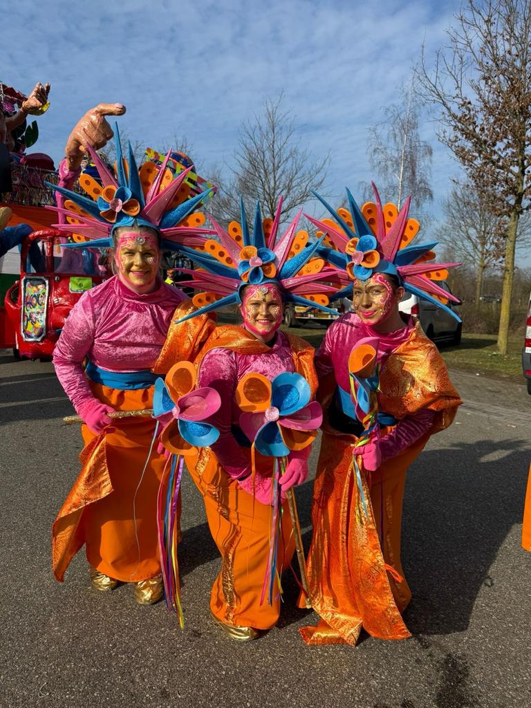 Carnavalskleding: 78 pakken + accessoires, Carnaval, Kleding, Gedragen, Ophalen
