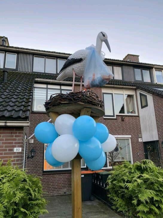 Ooievaar op nest., Ophalen, Zo goed als nieuw