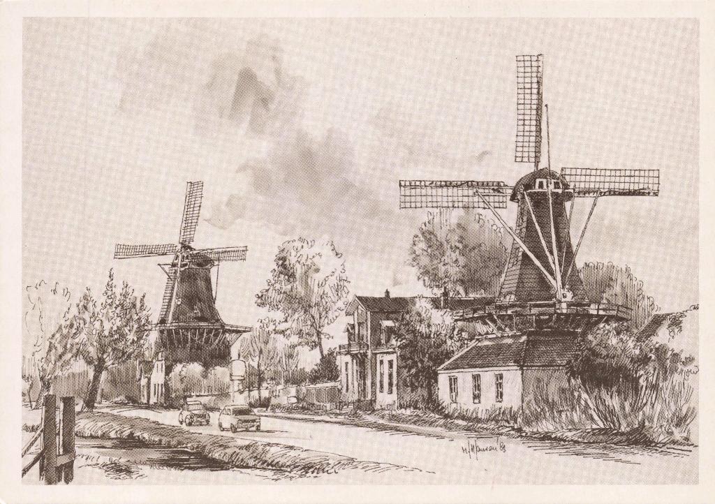 Rotterdam Molen De Ster en De Lelie Kralingse Plas M7867, Ophalen, 1980 tot heden, Ongelopen, Zuid-Holland