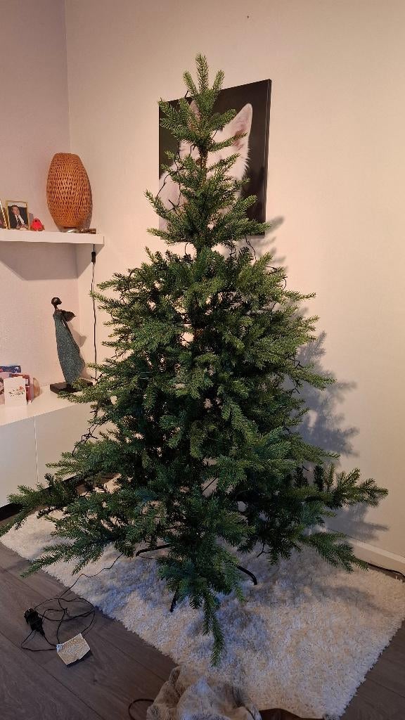 Kerstboom, Diversen, Kerst, Ophalen, Zo goed als nieuw