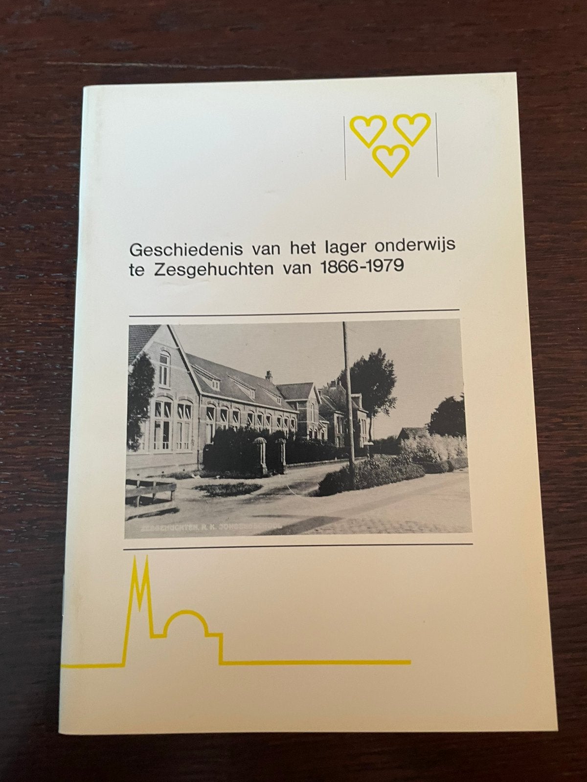 Geschiedenis van het lager onderwijs te Zesgehuchten Geldrop, Boeken, Ophalen of Verzenden, 20e eeuw of later, Zo goed als nieuw