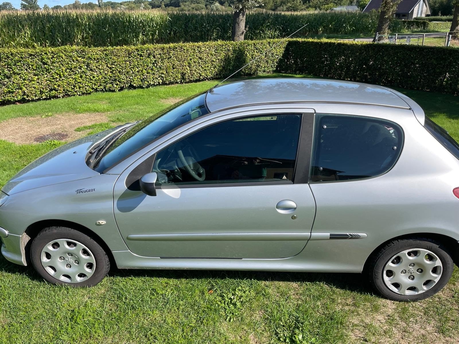 peugeot 206 netjes &compleet, Ophalen of Verzenden, Peugeot