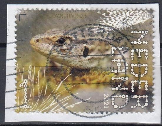 Nederland -10-44- 2021- Dwingelderveld- Zandhagedis- G, Postzegels en Munten, Postzegels | Nederland, Verzenden, Na 1940, Gestempeld