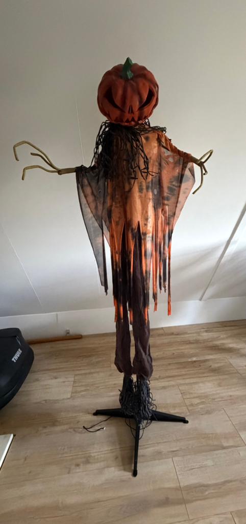 Animatronic pompoen Halloween licht & geluid + beweging, Ophalen of Verzenden, Zo goed als nieuw, Halloween of Griezel