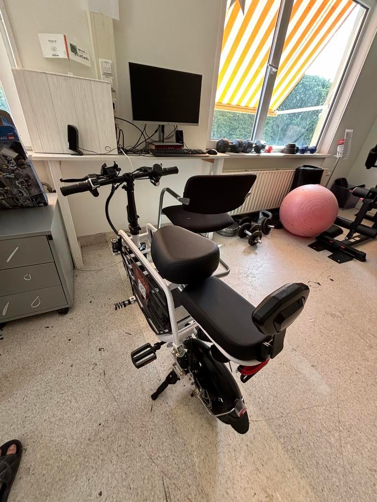 Mini elektrische fiets - Weinig gebruikt, inclusief oplader, Fietsen en Brommers, Elektrische fietsen, Minder dan 47 cm, Ophalen