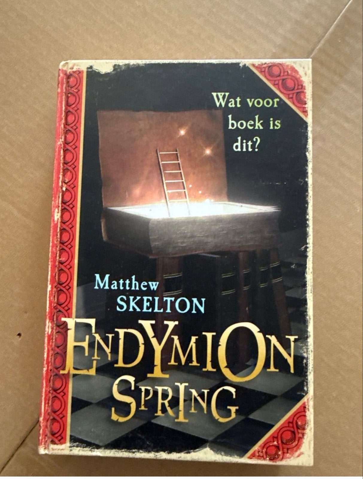 Endymion Spring - Matthew Skelton (Nederlandstalig), Ophalen of Verzenden, Nieuw, Nederland
