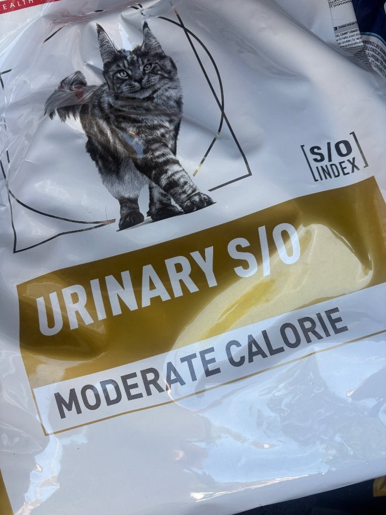 Royal Canin urinary kat, Ophalen of Verzenden, Kat
