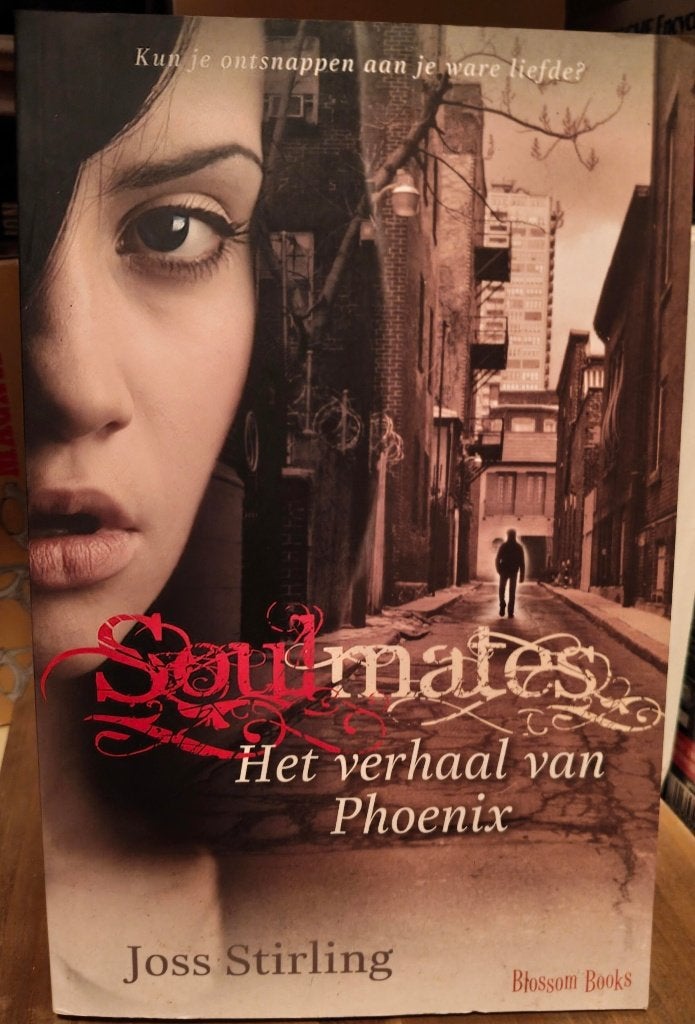 Boek Soulmates (Het verhaal van Phoenix), Boeken, Ophalen of Verzenden, Joss Stirling