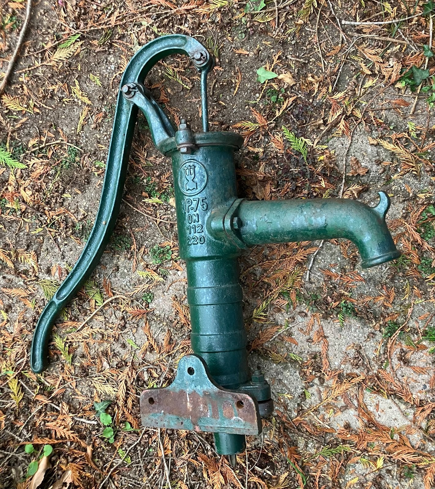 Oude gietijzeren waterpomp weidepomp handzwengelpomp, Ophalen, Gebruikt, Handmatig, Overige typen