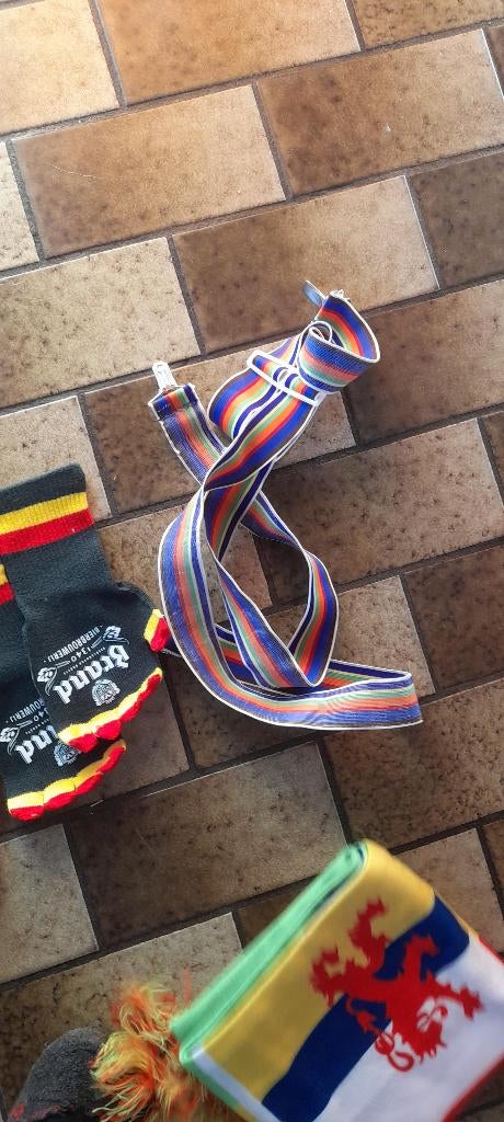 carnaval spullen, Ophalen of Verzenden, Zo goed als nieuw, Carnaval, Accessoires