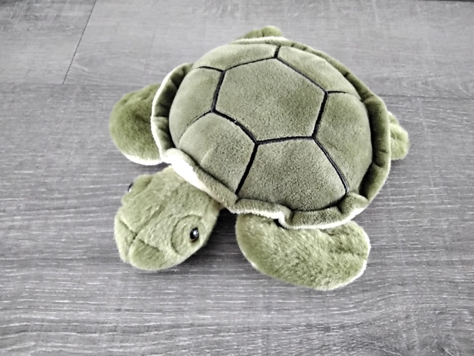 Albert heijn schildpad knuffel, Ophalen of Verzenden