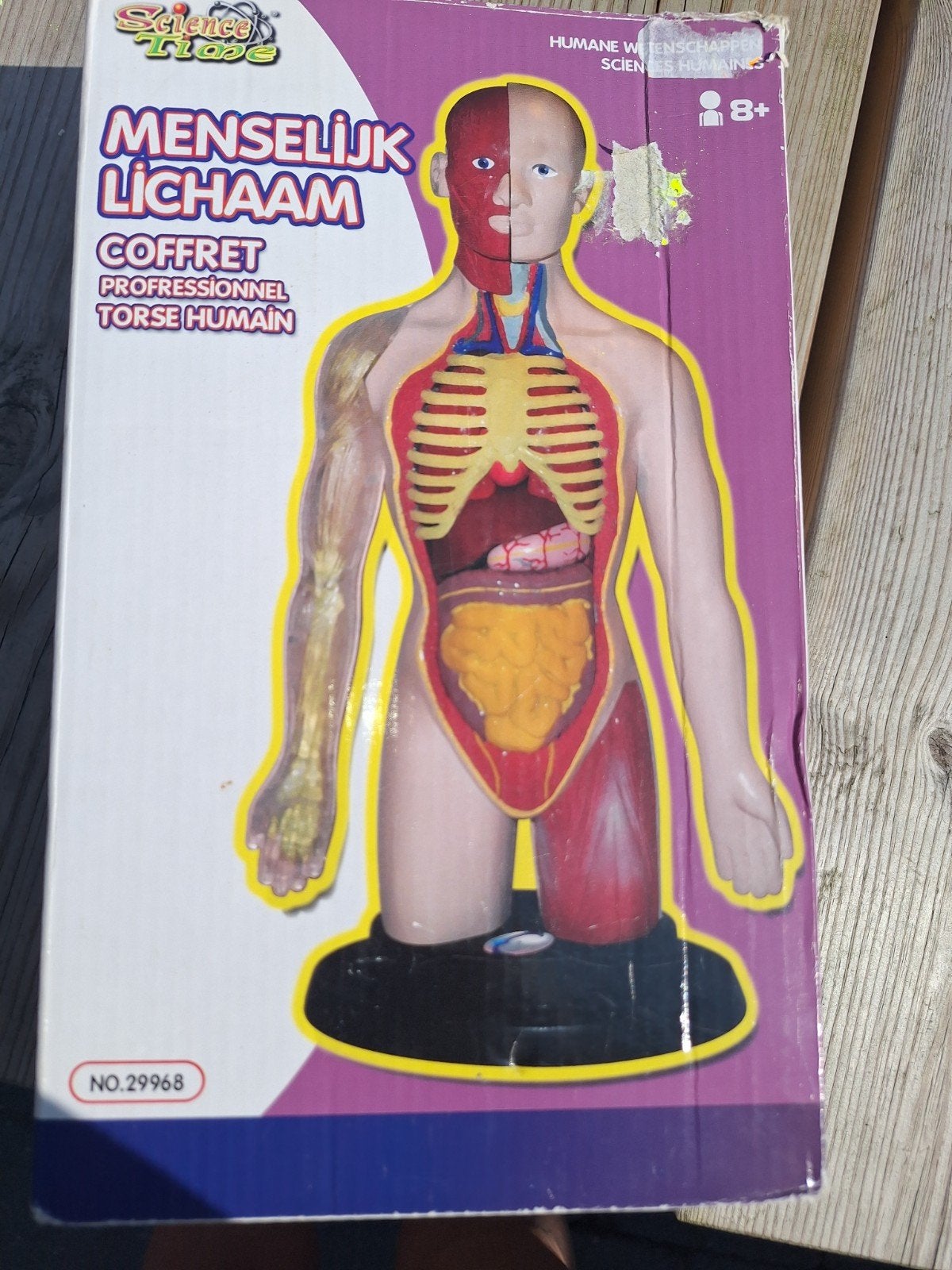 menselijk lichaam, Diversen, Ophalen