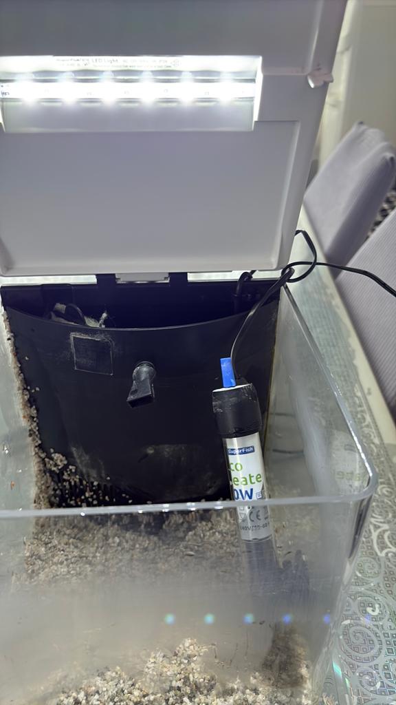Super Fish 8, Dieren en Toebehoren, Ophalen of Verzenden, Zo goed als nieuw, Leeg aquarium