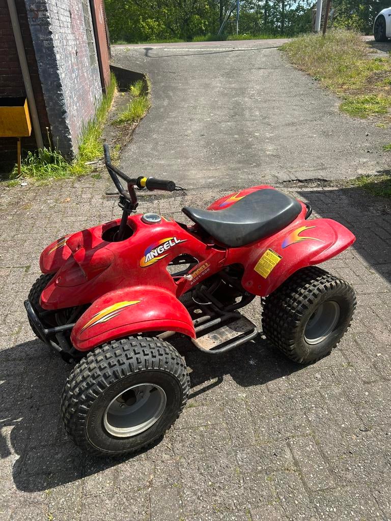 elektrische quad, Ophalen, Zo goed als nieuw, Overige typen