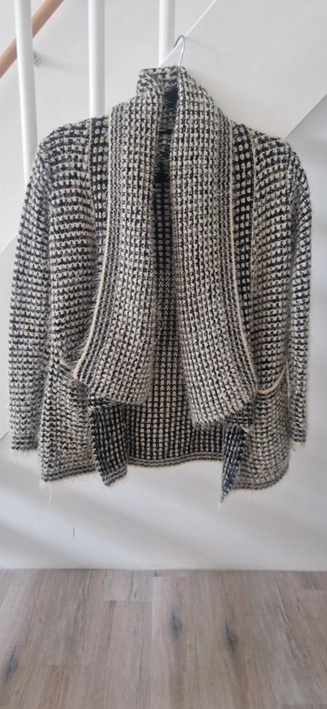 Oversized geruite  vest, Ophalen of Verzenden, Zo goed als nieuw, Maat 34 (XS) of kleiner, Zwart