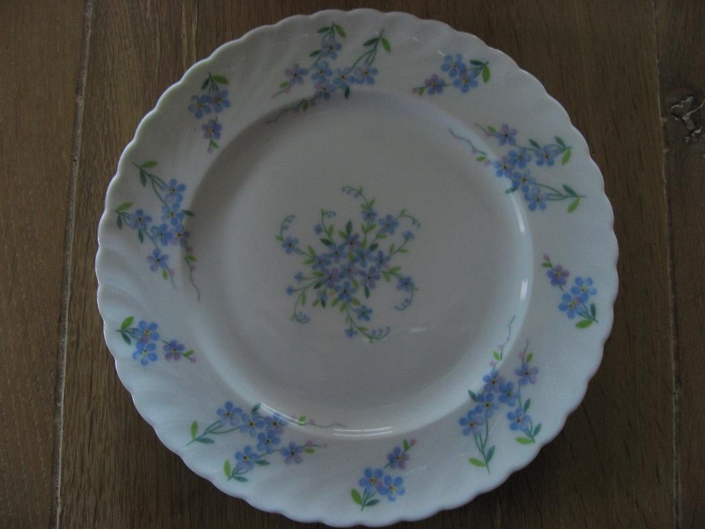 12 prachtige vintage Myosotis bordjes , Royal Tettau Bavaria, Verzenden