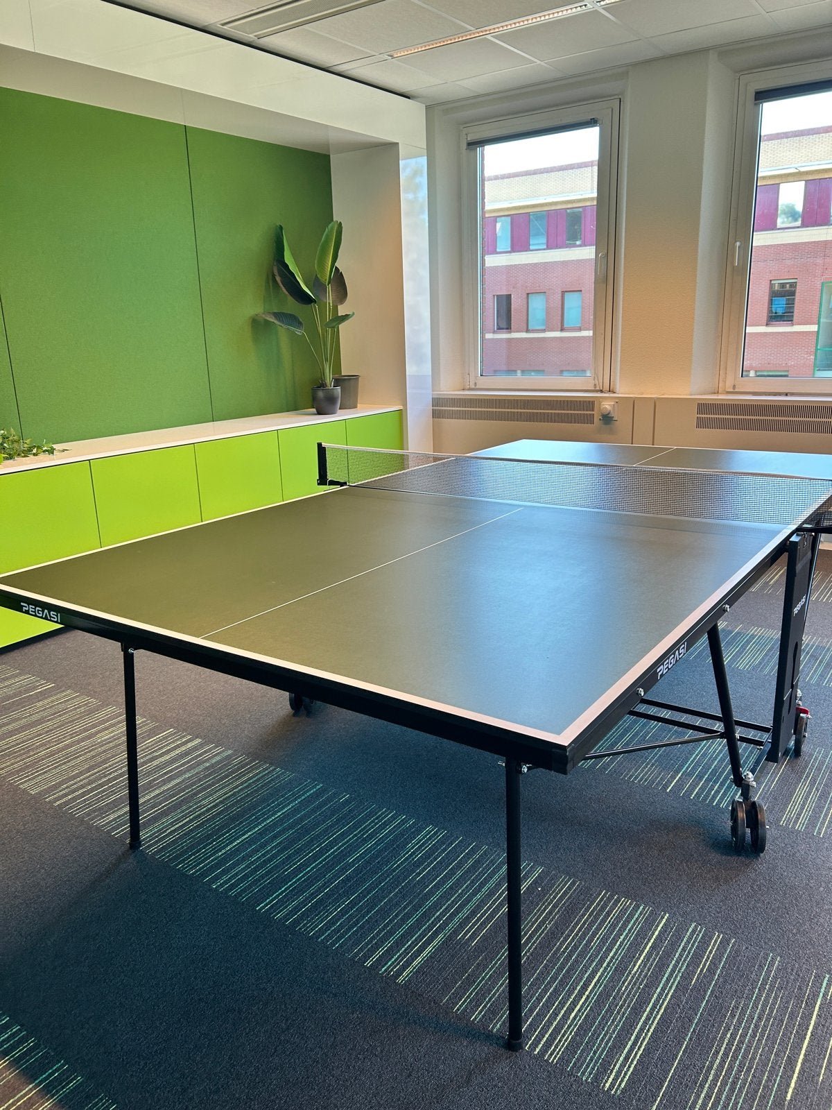 Pegasi Indoor Tafeltennistafel - Zo goed als nieuw, Sport en Fitness, Tafeltennis, Ophalen, Zo goed als nieuw, Tafel Indoor, Inklapbaar