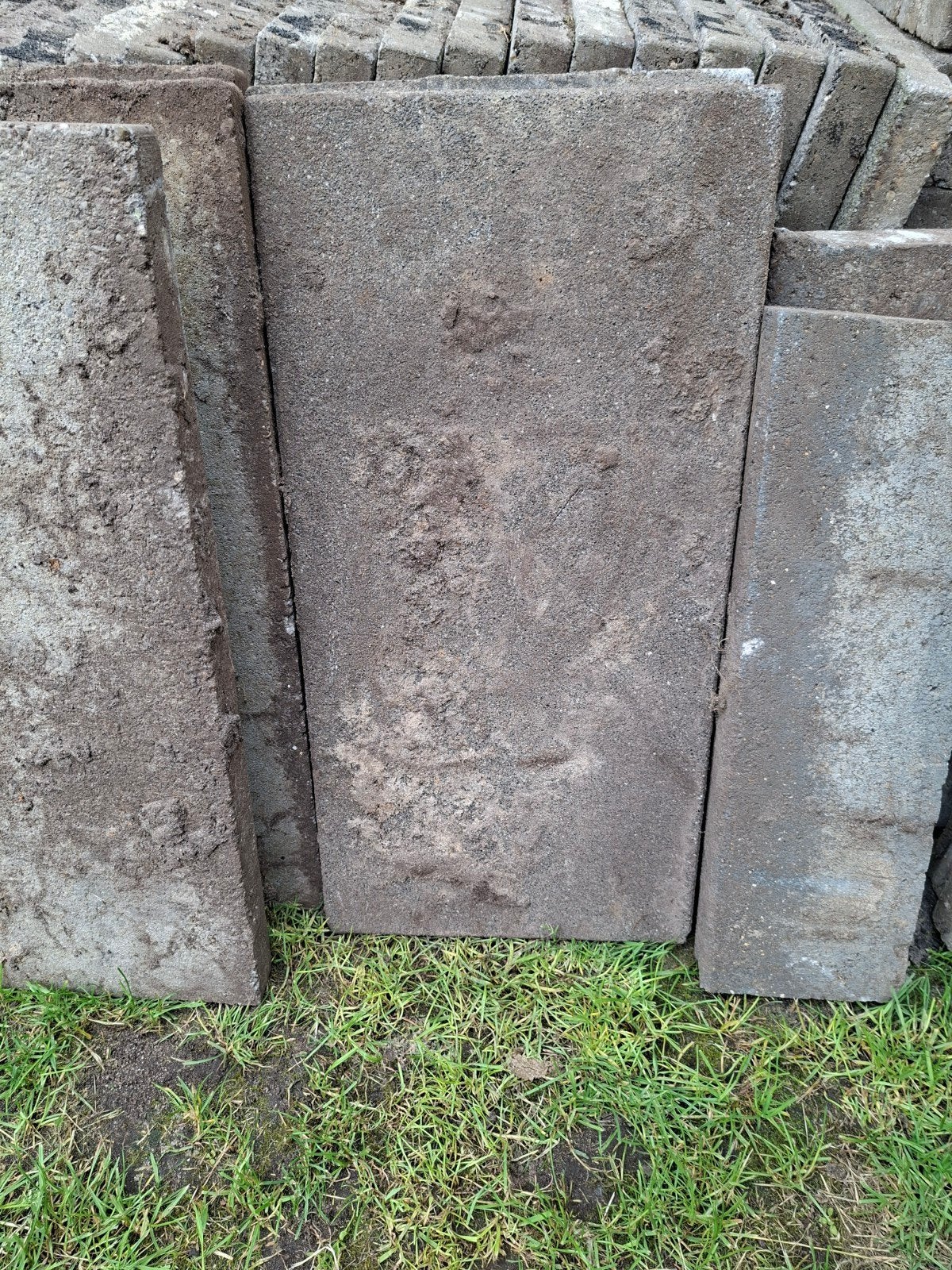 60x30 betontegel GRATIS AFHALEN, Tuin en Terras, Ophalen, Gebruikt, Minder dan 100 cm, Biels