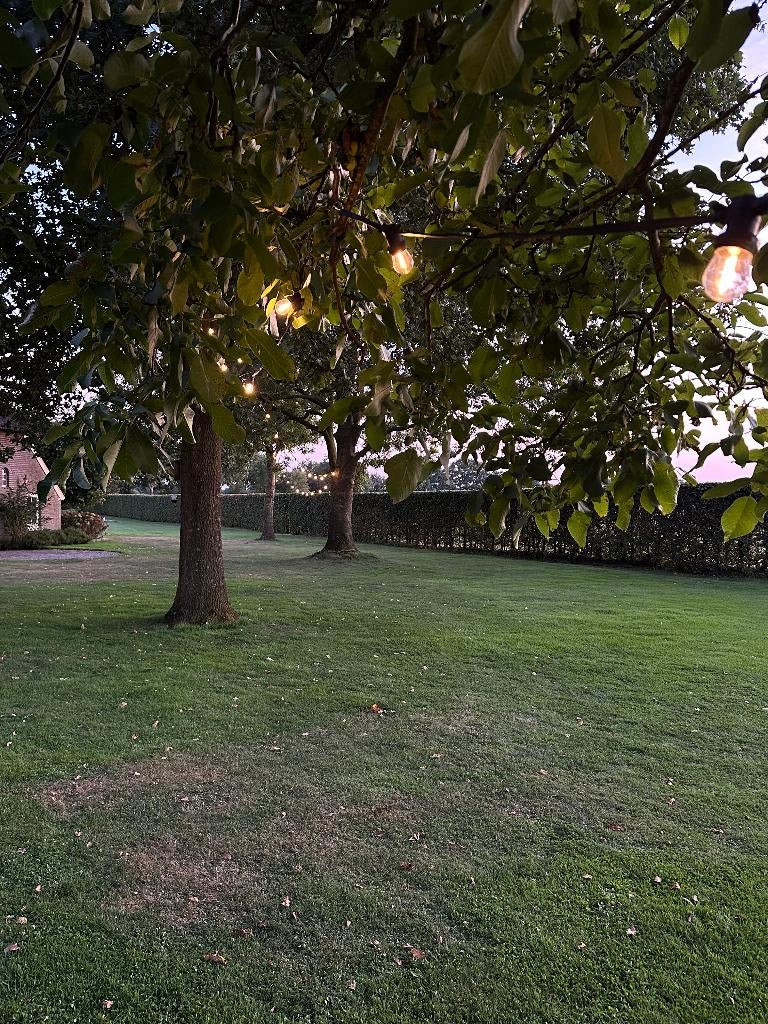 Prikkabel / Lichtsnoer Verhuur, Ophalen, Nieuw, Overige