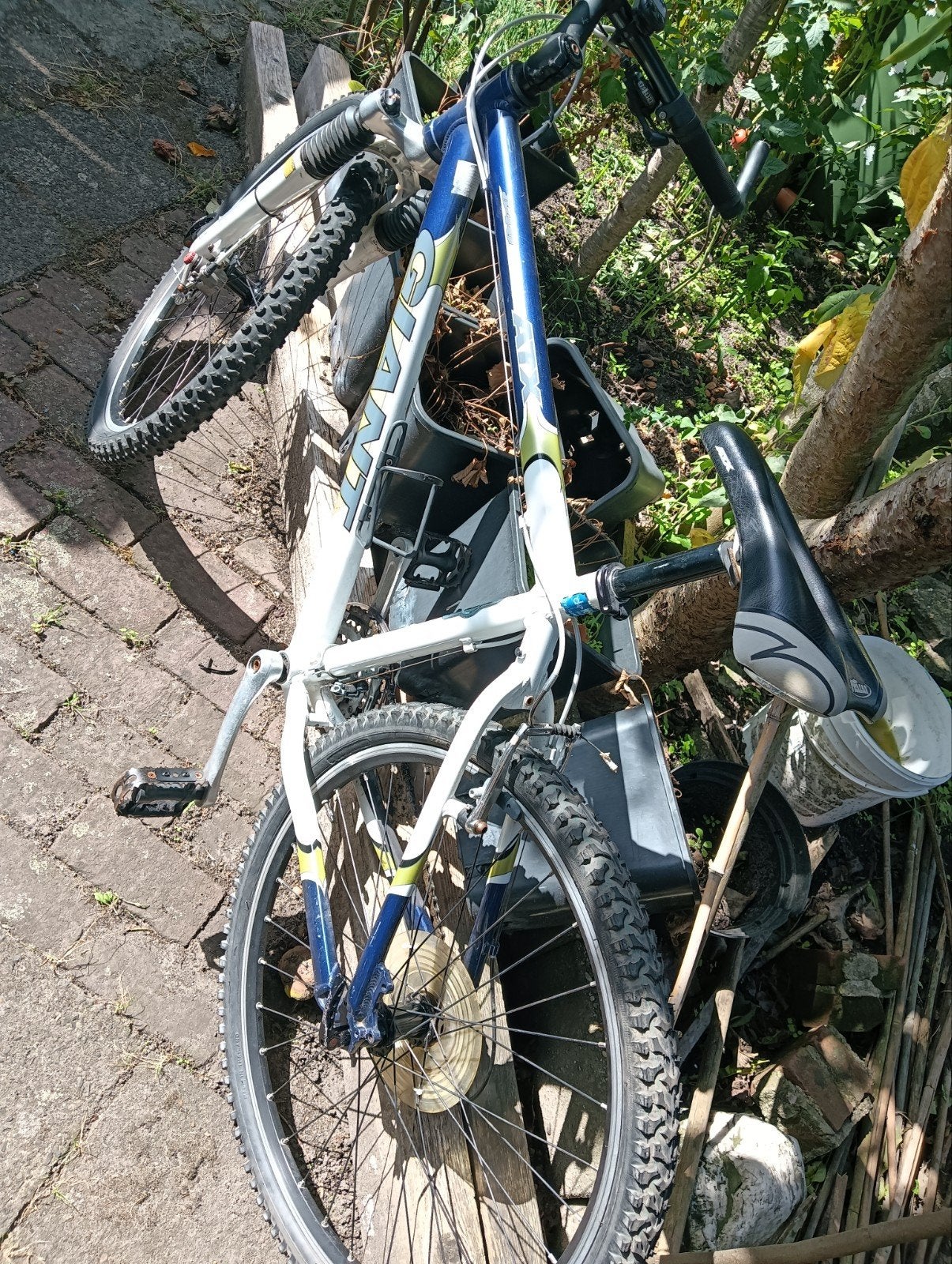 moutenbike giant, Ophalen, Gebruikt, 20 inch of meer, Overige merken
