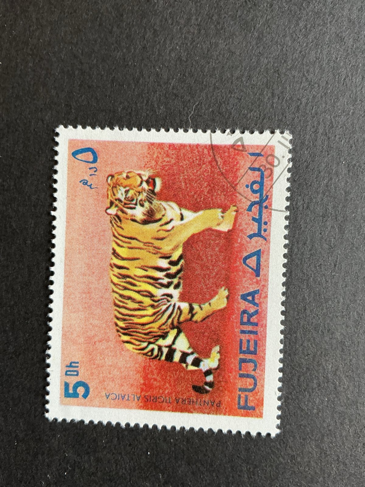 Wilde katten Fujairah - (Tijger, Sneeuwluipaard, Leeuw), Verzenden, Postfris, Dier of Natuur