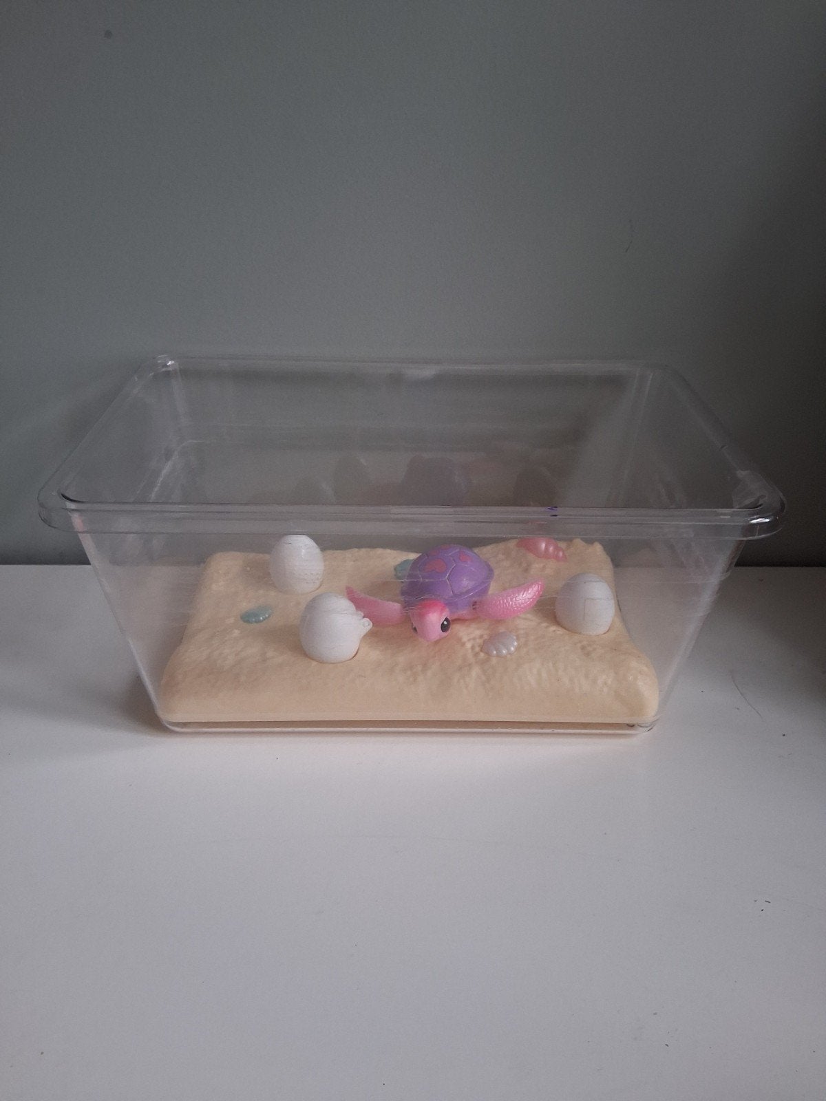 Schildpad Speelset met Baby Schildpadden en Waterbak, Kinderen en Baby's, Ophalen of Verzenden, Gebruikt, Jongen of Meisje