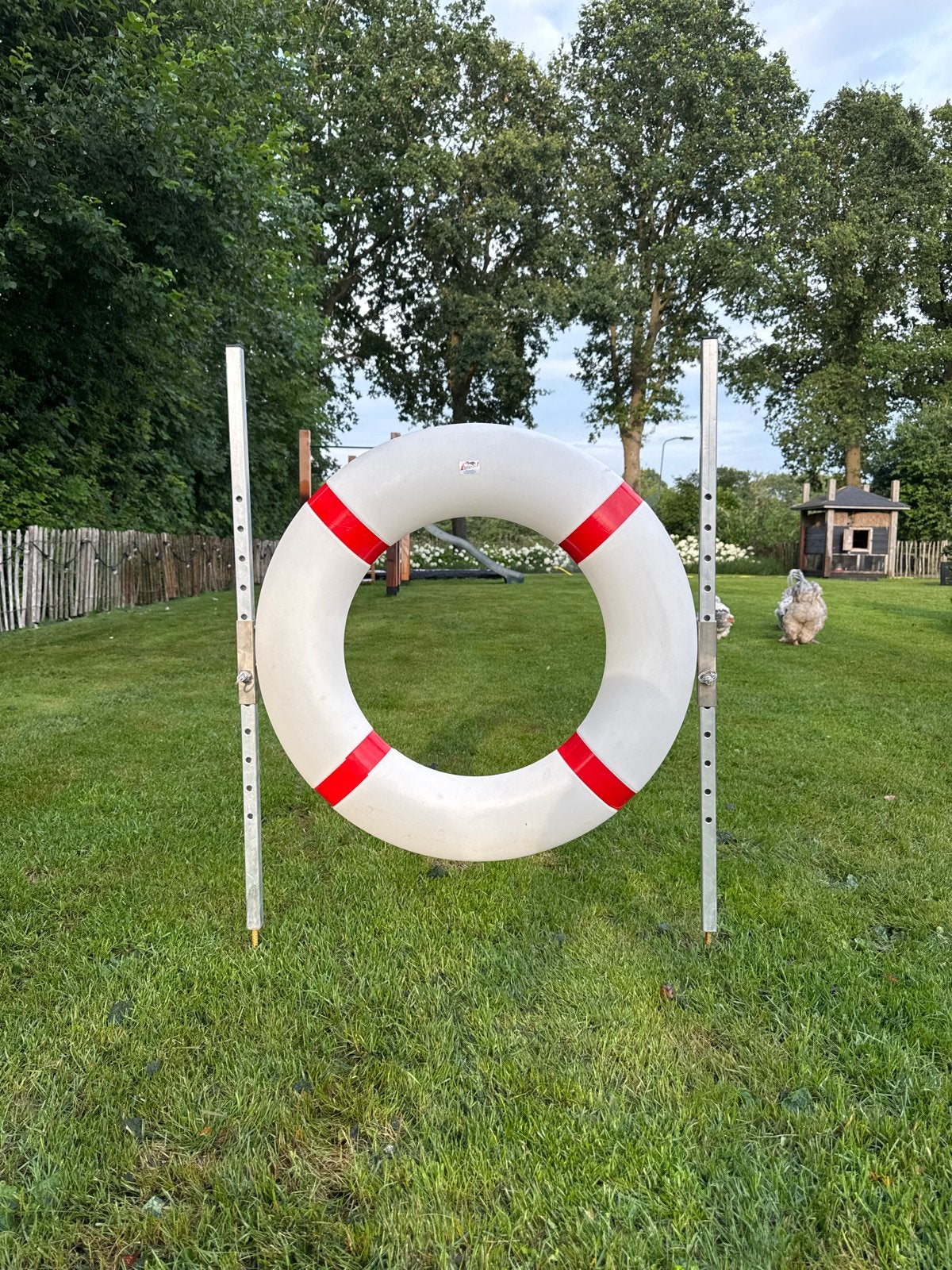 Favoriet Agility Equipment Bandsprong – Behendigheid Hond, Dieren en Toebehoren, Ophalen of Verzenden, Zo goed als nieuw