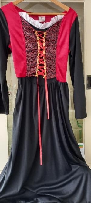 carnavalskleding, Kleding | Dames, Maat 38/40 (M), Carnaval, Ophalen of Verzenden, Kleding