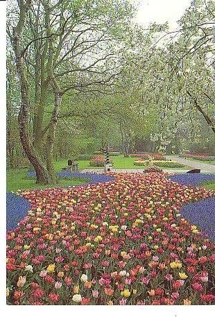 Ansichtkaart 	Lisse	Keukenhof, Verzenden, 1960 tot 1980, Ongelopen, Zuid-Holland