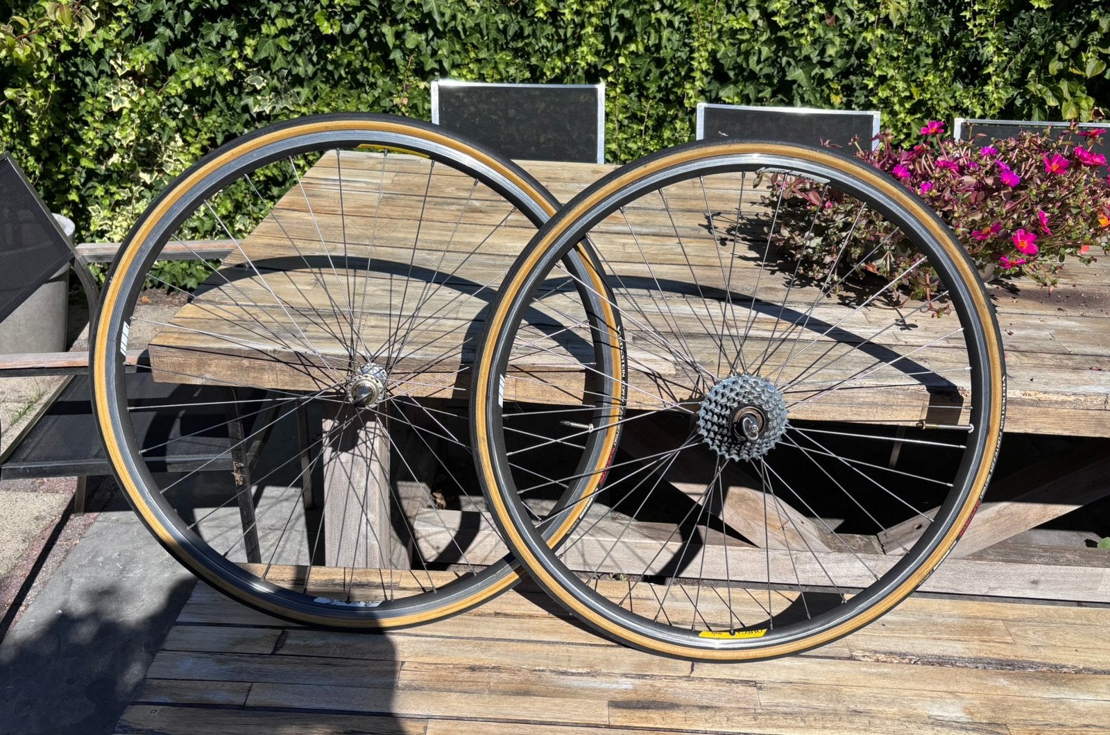 Campagnolo Omega Strada Hardox wielset ZGAN, Fietsen en Brommers, Fietsonderdelen, Ophalen, Zo goed als nieuw, Racefiets, Wiel