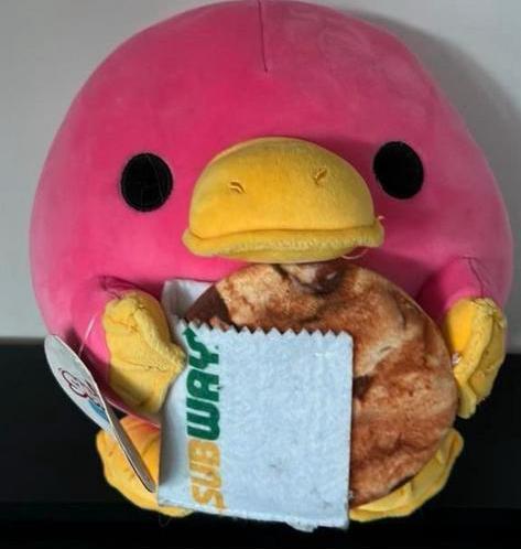 Zgan snackles whitney serie 2 subway cookie, Kinderen en Baby's, Speelgoed | Knuffels en Pluche, Ophalen of Verzenden, Zo goed als nieuw