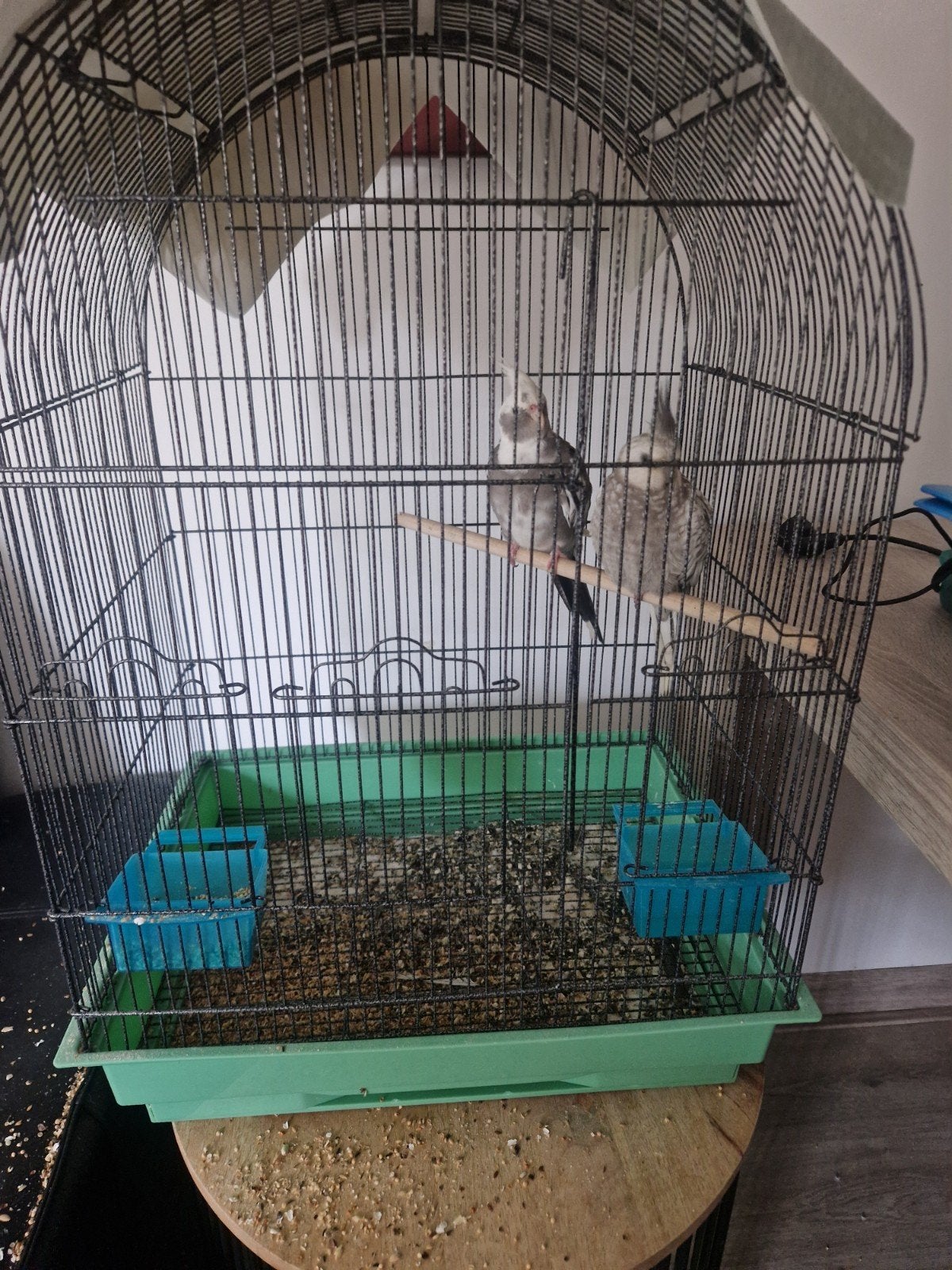 te koop, Ophalen of Verzenden, Hout, Vogelkooi