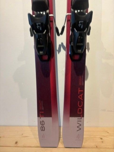 Elan Wildcat 86TI Dames Allmountain ski lengte 160 cm Nieuw, Overige merken, Bergunje Slovenie, Nieuw, Ophalen of Verzenden