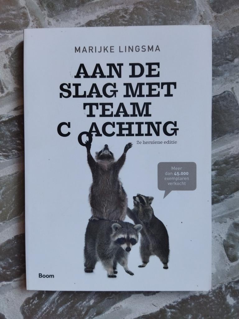 Aan De Slag Met Teamcoaching, Marijke Lingsma, Zo goed als nieuw, Alpha, HBO