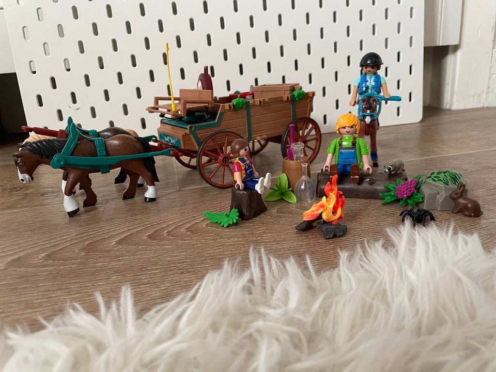 Playmobil paarden met wagen en figuren, Kinderen en Baby's, Speelgoed | Playmobil, Ophalen, Gebruikt