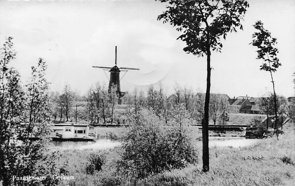 AN146 Gorcum Paardewater met molen 1964 uitg. Geitz, Verzenden, 1960 tot 1980, Gelopen, Zuid-Holland