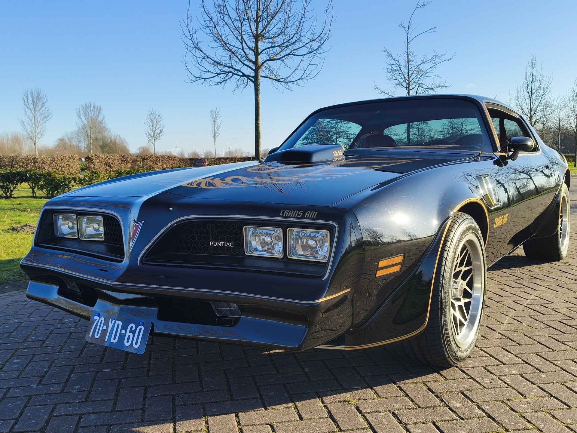 Pontiac Firebird TRANS AM (bj 1977, automaat), Automaat, Pontiac, 7766 cc, Zwart