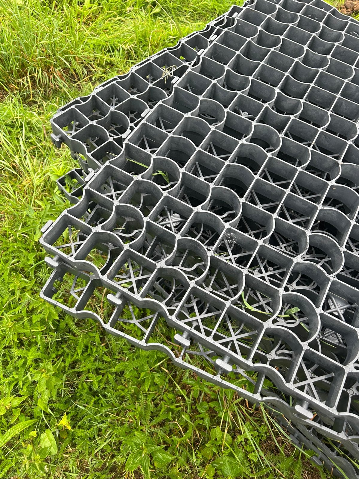 Nieuwe paddock roosters 19 stuks, Dieren en Toebehoren