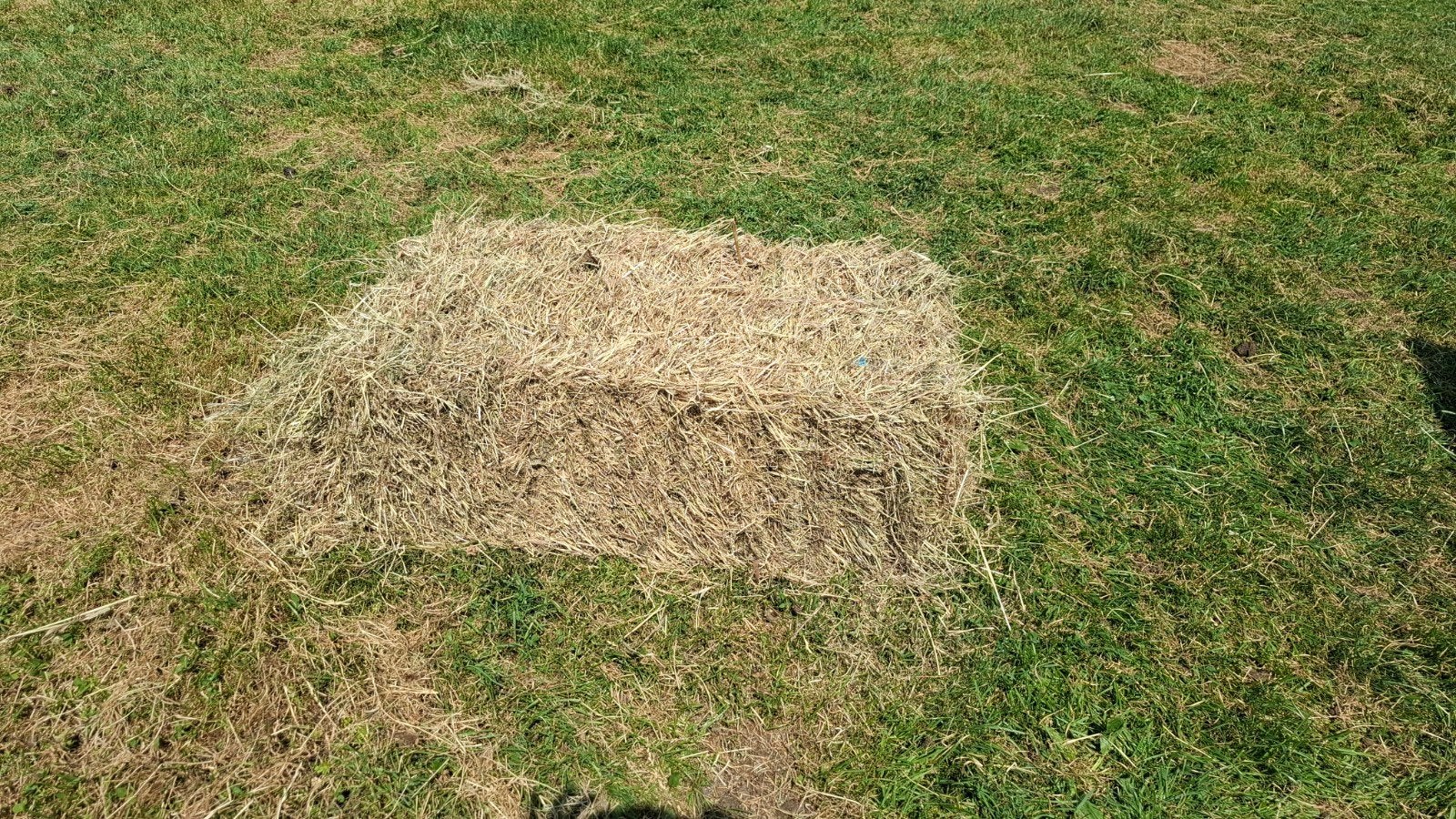 Kleine baaltjes hooi - 150 stuks, Ophalen, Vee