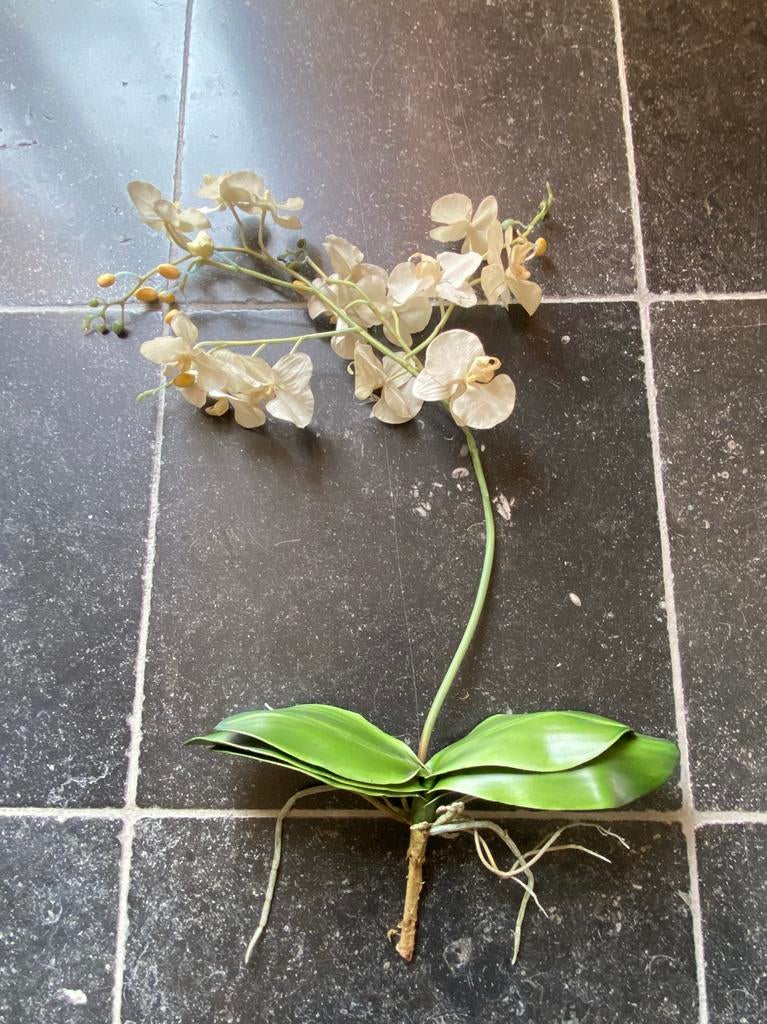 2 orchidee takken, Binnen, 90 cm, Kunstbloem, Ophalen of Verzenden